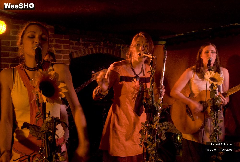 16/35 photos du spectacle Baz'Art à Nanas